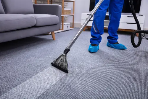 Carpet Cleaner