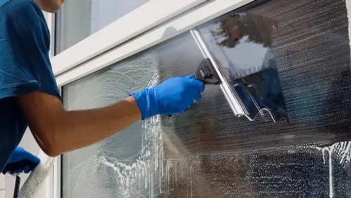Window Cleaner